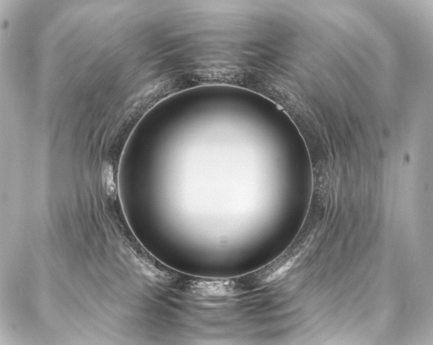 X0000088170089200705151159