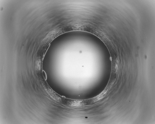 X0000088170090200705151159