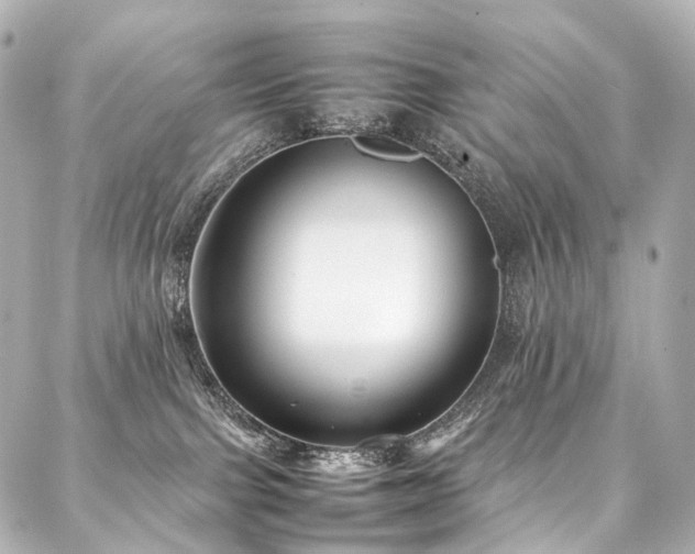 X0000088170091200705151159