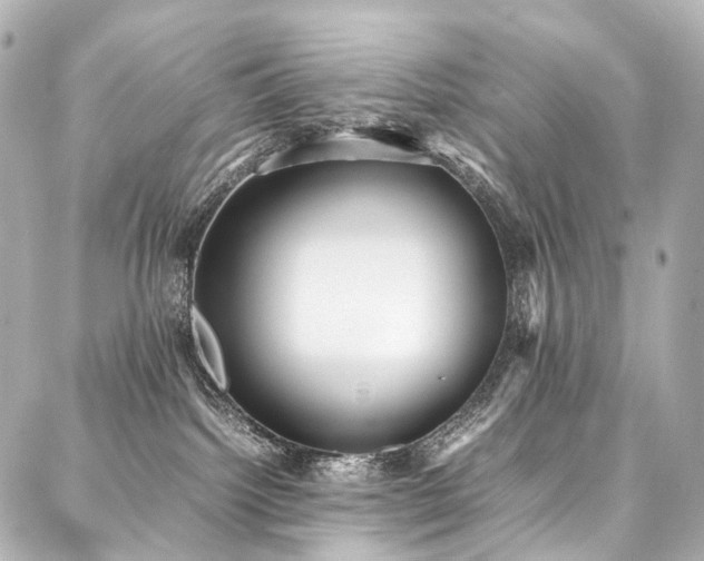 X0000088170092200705151159