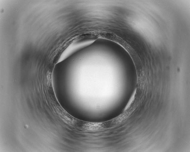 X0000088170093200705151159