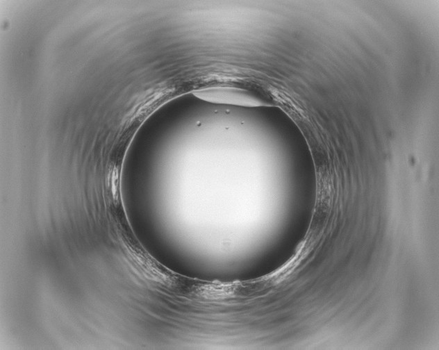 X0000088170094200705151159