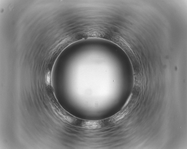 X0000088170095200705151159