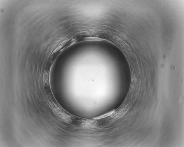 X0000088170096200705151159