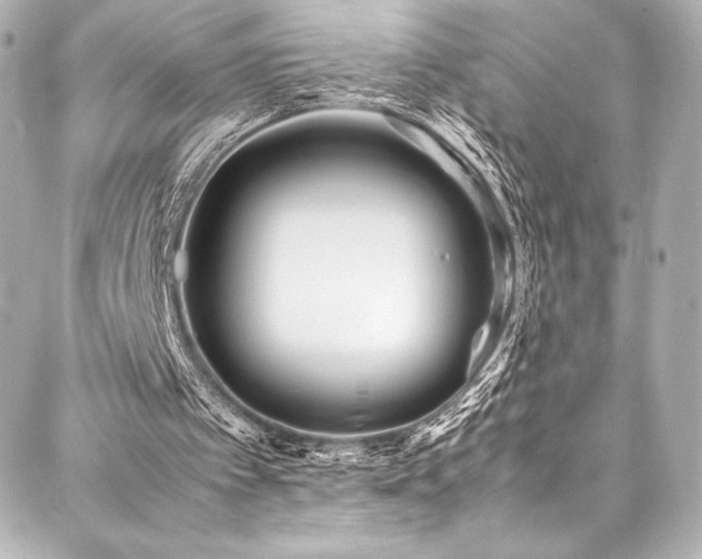 X0000088170097200705151159