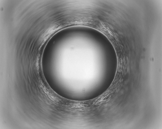 X0000088170098200705151159