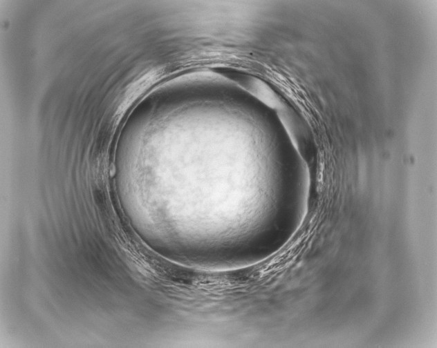 X0000088170099200705151159