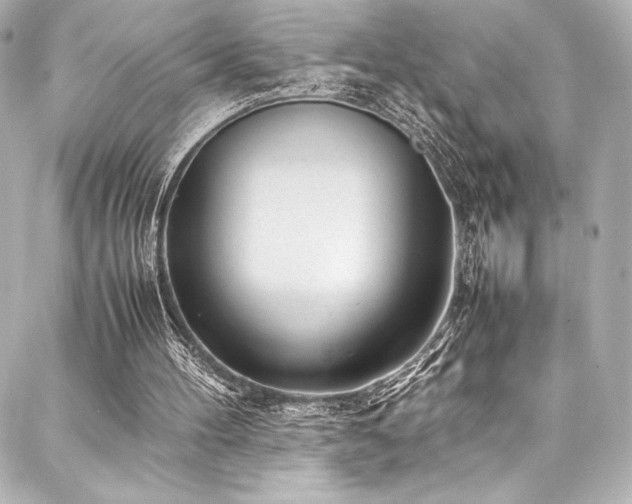 X0000088170100200705151159