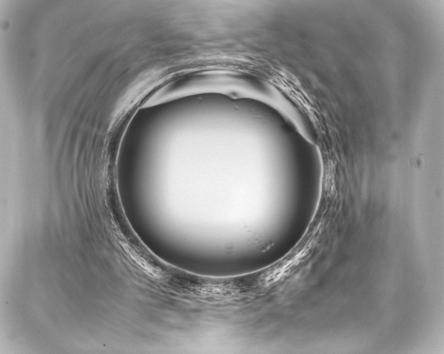 X0000088170101200705151159