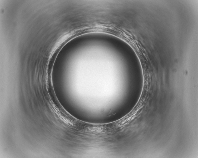 X0000088170102200705151159