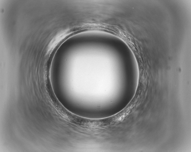 X0000088170103200705151159