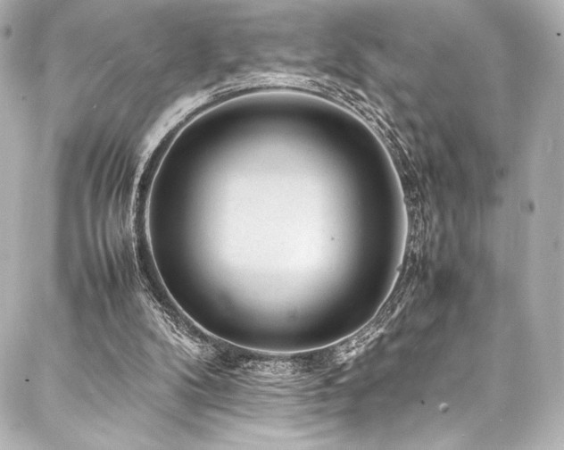 X0000088170104200705151159