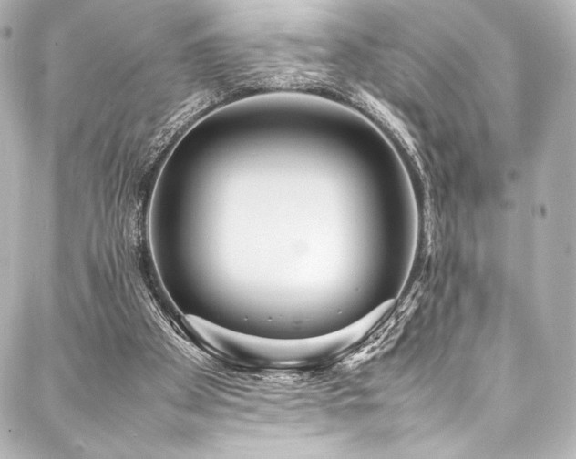 X0000088170105200705151159