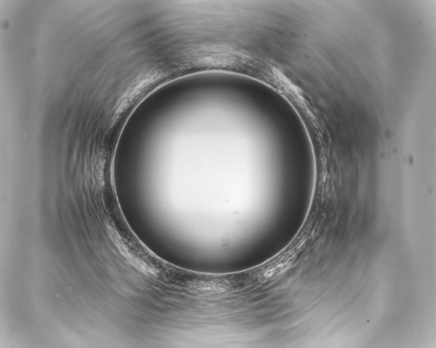 X0000088170106200705151158