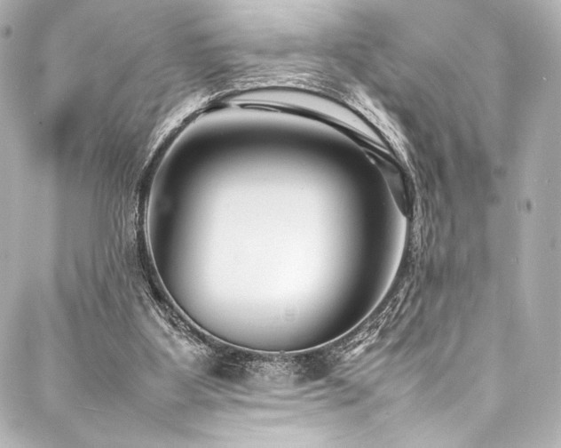 X0000088170107200705151158