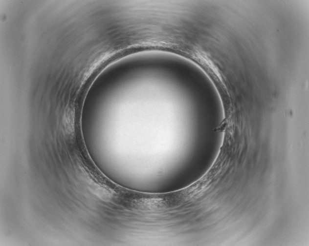 X0000088170108200705151158