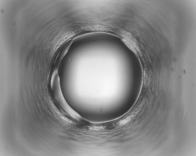 X0000088170109200705151158