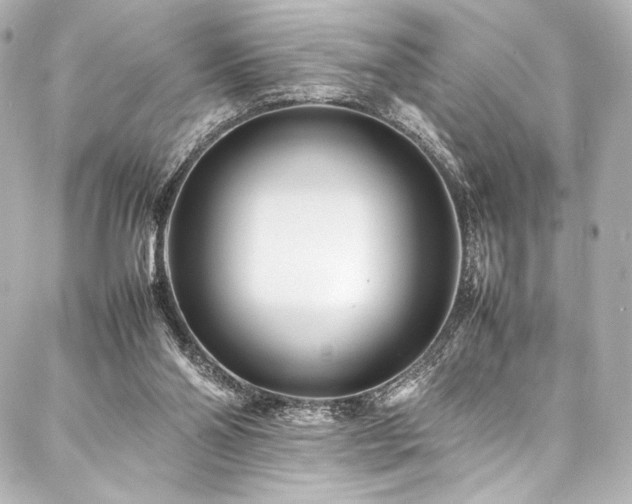 X0000088170110200705151158