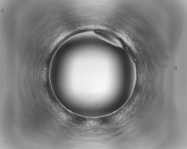 X0000088170111200705151158