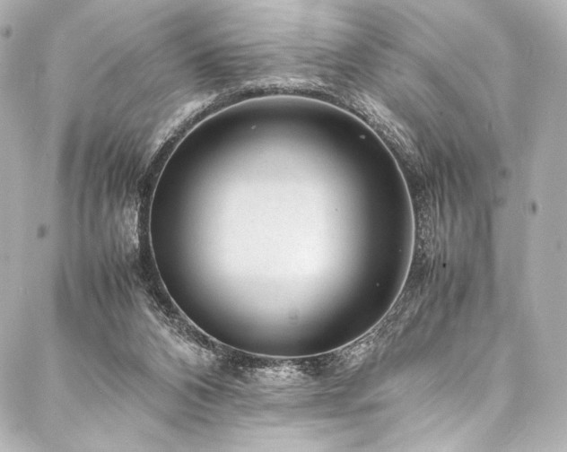 X0000088170112200705151158