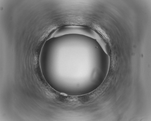 X0000088170113200705151158