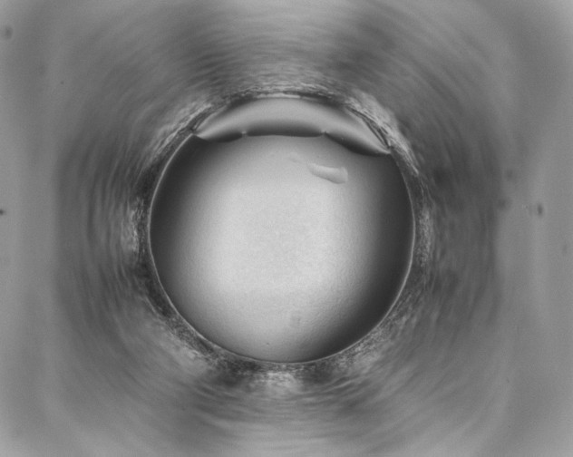 X0000088170114200705151158