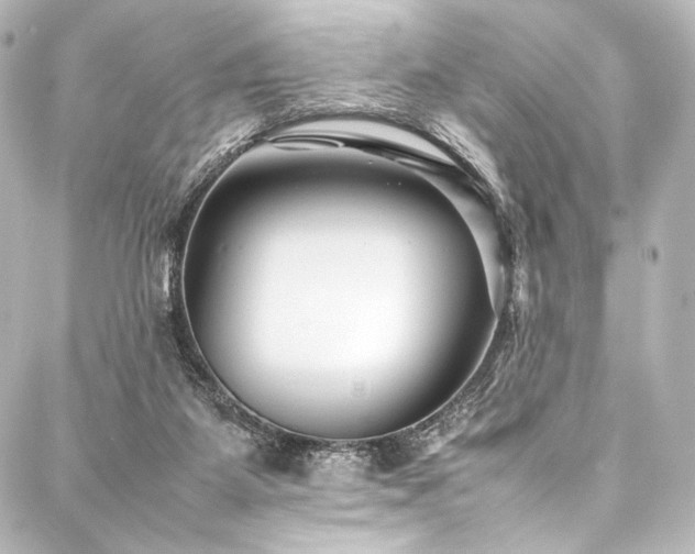 X0000088170115200705151158