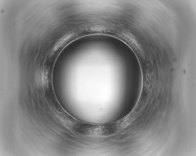 X0000088170116200705151158