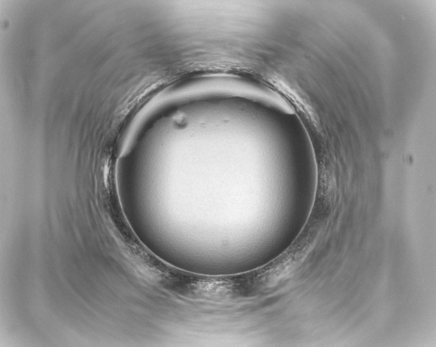 X0000088170117200705151158