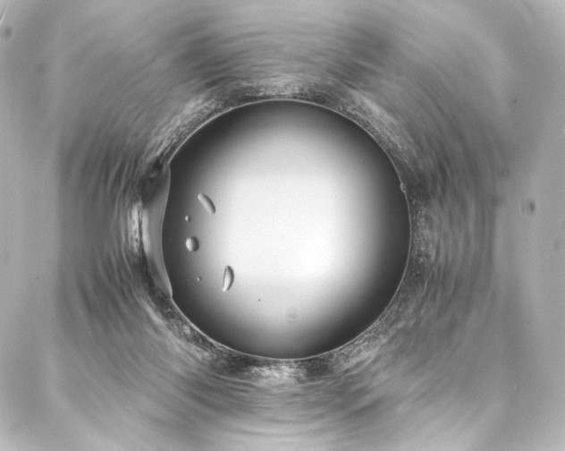 X0000088170118200705151158