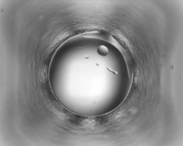 X0000088170119200705151158