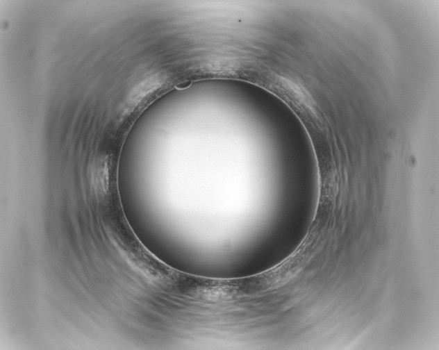 X0000088170120200705151158