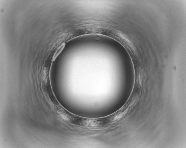 X0000088170121200705151158