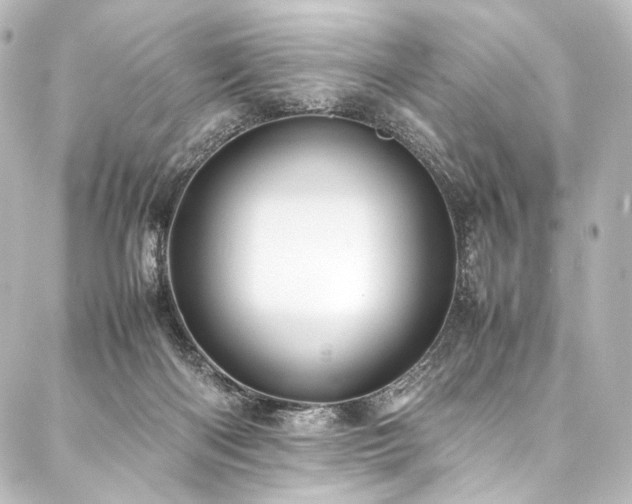 X0000088170122200705151158