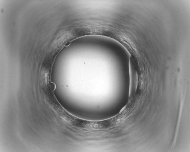 X0000088170123200705151158