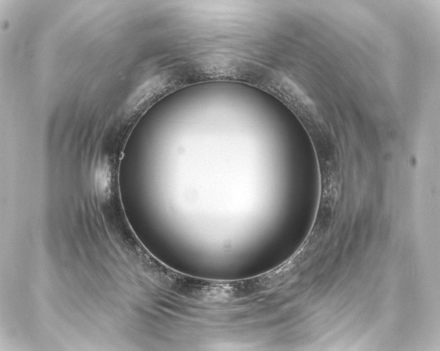 X0000088170124200705151158