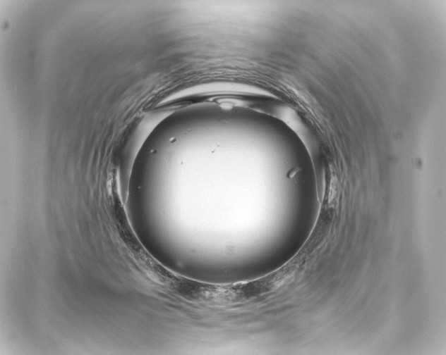 X0000088170125200705151158