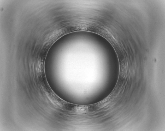 X0000088170126200705151158