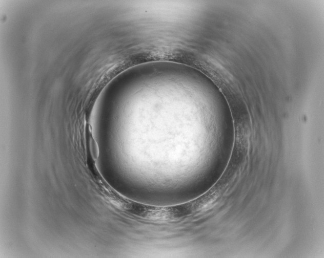 X0000088170127200705151158