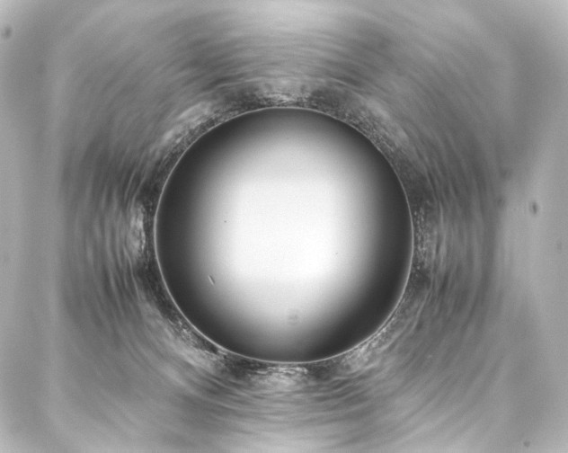 X0000088170128200705151158