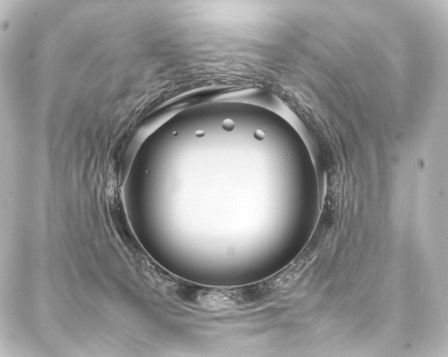 X0000088170129200705151158