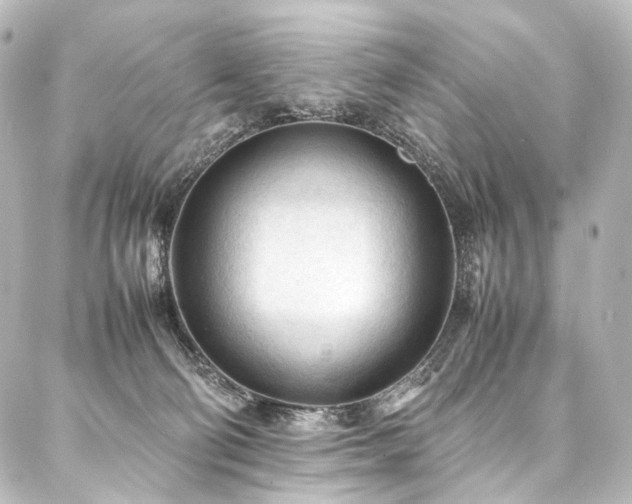 X0000088170130200705151158