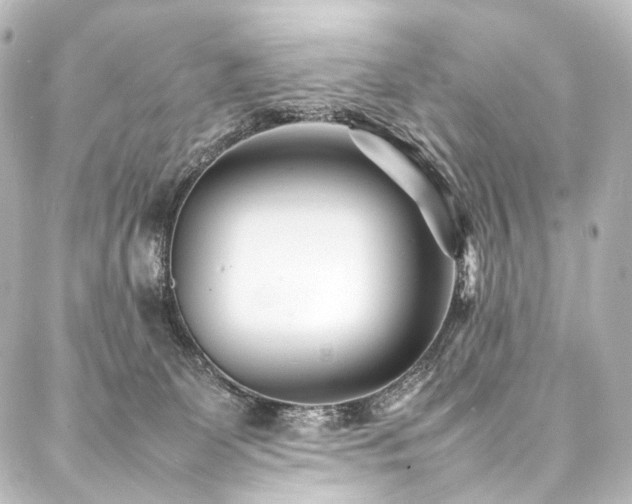 X0000088170131200705151158