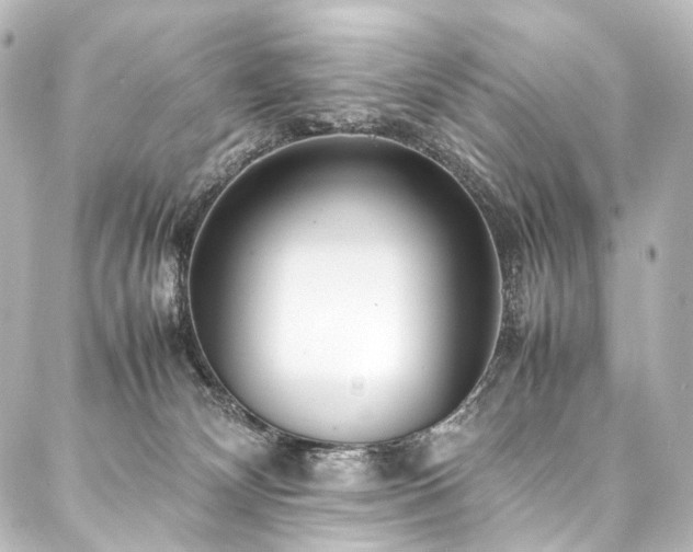 X0000088170132200705151158