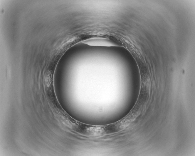 X0000088170133200705151158