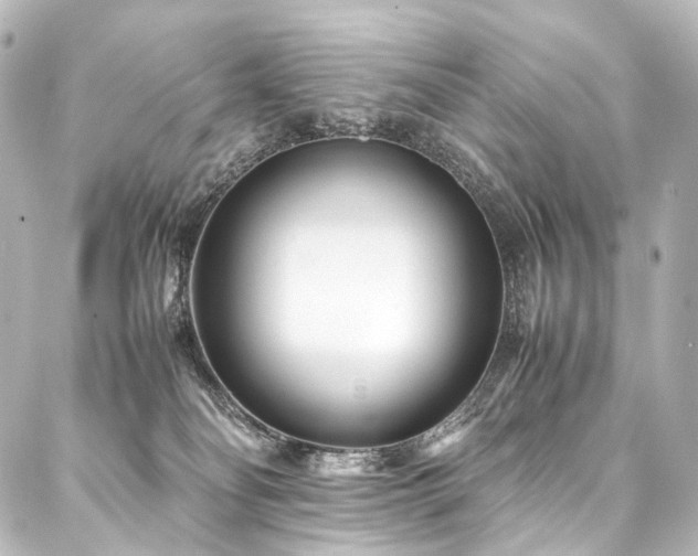 X0000088170134200705151158