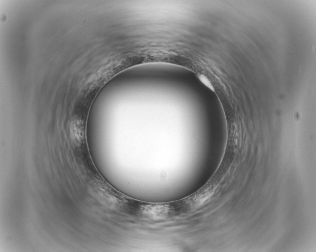 X0000088170135200705151158