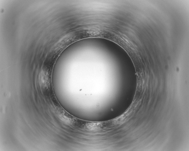 X0000088170136200705151158