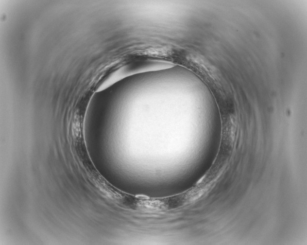 X0000088170137200705151158