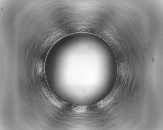 X0000088170138200705151158